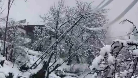 Diyarbakır'da Yoğun Kar Nedeniyle Elektrik Direkleri Devrildi