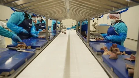 Sinop'ta İhracat Artışı Bekleniyor