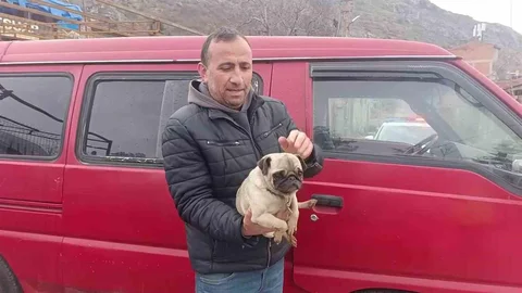 Amasya’da Köpek Yangında Mahsur Kaldı