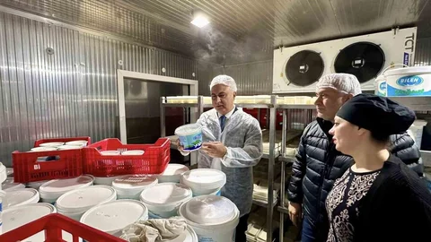 Antakya'da Süt Ürünleri İncelemesi