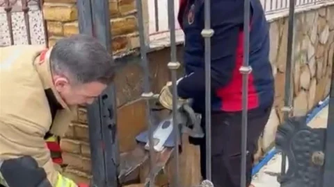 Hatay'da Sıkışan Köpek Kurtarıldı