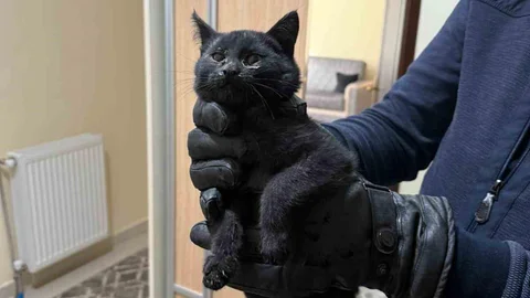 Konya'da Bacaya Sıkışan Kedi Kurtarıldı