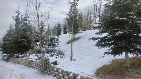 Ankara'da Kar Yağışı Etkili Oldu