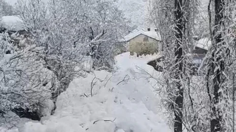 Yüksekova'da Çığ Tehlikesi Atlattı