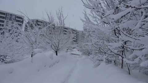 Bitlis'te Kar Yağışı Hayatı Olumsuz Etkiliyor