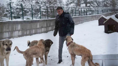 Battalgazi'de Yeni Hayvan Barınağı Açıldı