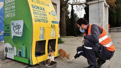 Yıldırım Belediyesi'nden Sokak Hayvanlarına Destek