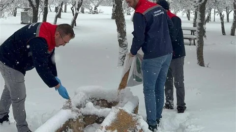 Karaman'da Yaban Hayvanlarına Yem Bırakıldı
