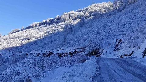 Ordu'da Kar Yağışı Nedeniyle Eğitim Durdu