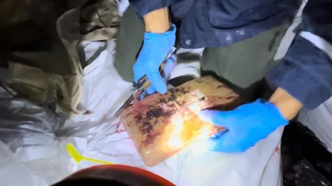 Mersin Limanı’ndaki 298 kilo kokainle ilgili 2 şüpheli gözaltına alındı