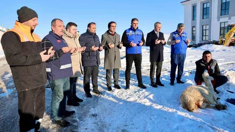 Sivas'ta Şükür Koyunu Kesildi