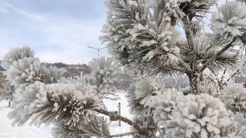 Ardahan’da Dondurucu Soğuklar Etkili Oluyor