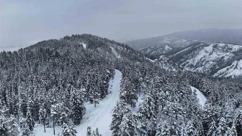 Kastamonu Ormanlarında Kış Manzarası Göz Kamaştırıyor