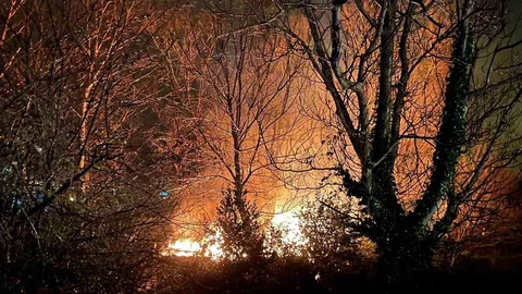 Filyos'ta Yangın Korkuttu