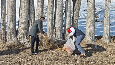 Aşkale'de Yaban Hayvanları İçin Yem Bırakıldı