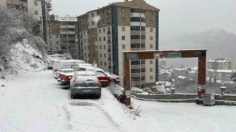 Artvin'de Kar Yağışı Devam Ediyor