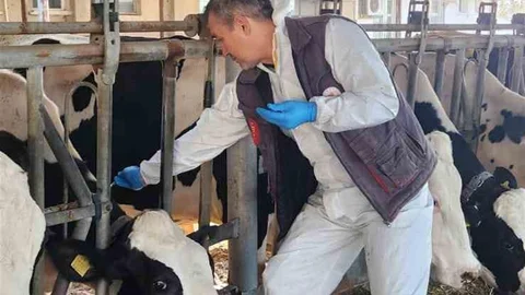 Söke'de Tüberküloz ve Brucella Taraması Yapıldı