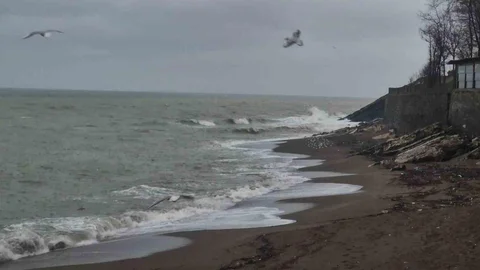 Akçakoca'da Fırtına ve Sağanak Yağış