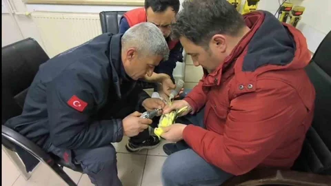 Şanlıurfa'da Papağan Kurtarıldı
