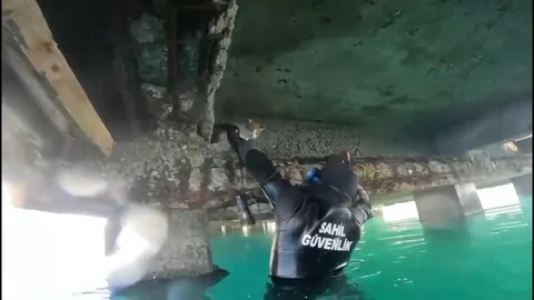 Mahsur Kalan Kedi İçin Kurtarma Operasyonu