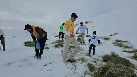 Yaban Hayvanları İçin Yem Bırakıldı