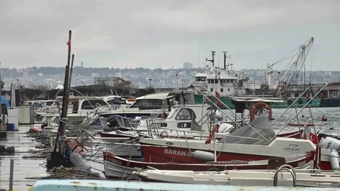 Uyanık Lüfer Avlanmayı Zorlaştırıyor