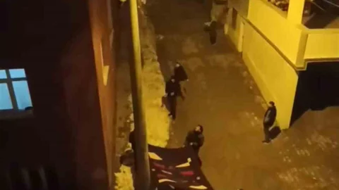 Siirt'te Mahsur Kalan Kedi Kurtarıldı