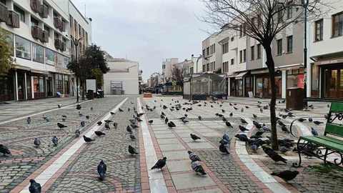 Edirne’de Dondurucu Soğuklar Etkili Oluyor