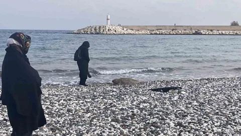 Mersin'de Telef Olmuş Caretta Caretta Bulundu