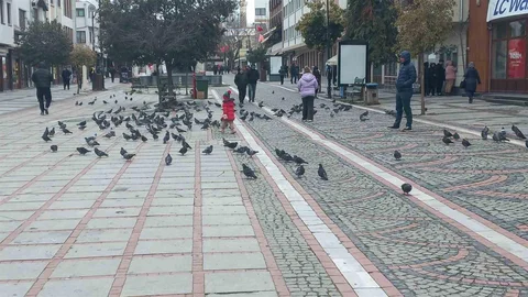 Edirne'de Dondurucu Soğuk Hava Etkili Oluyor