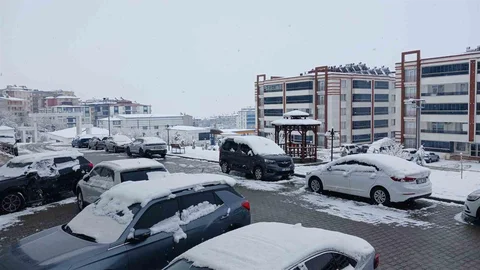 Kulp'ta Kar Yağışı Etkisini Sürdürüyor