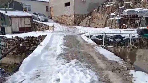 Develi'de Korkuluk Talebi