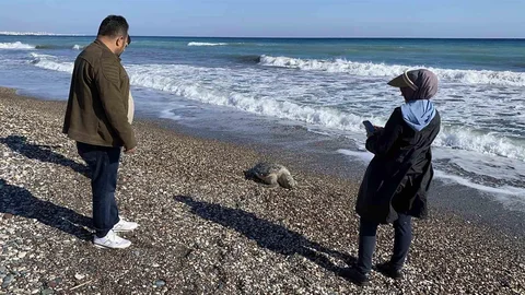 Erdemli Sahilinde Üzücü Olaylar