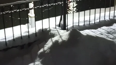 Bayburt'ta Su Samuru Çifti Görüntülendi