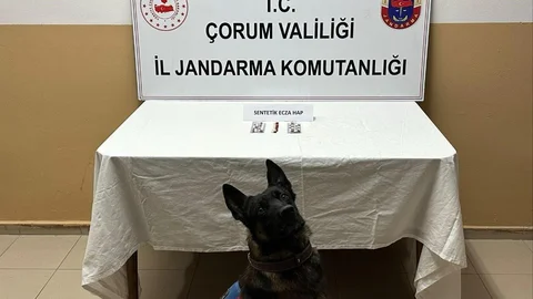 Çorum'da Uyuşturucu Hapla Yakalanma Olayı