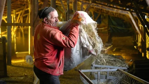 Bayburt'ta Besici Hayvanlarını Sevgiyle Besliyor