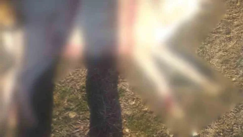 Burdur'da Köpek Ölümleri Üzerine Açıklama