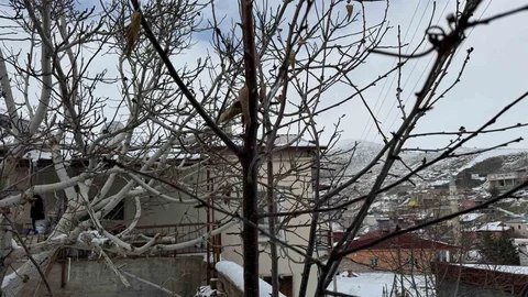 Adana'da Çiftçiler Yağışlarla Rahatladı