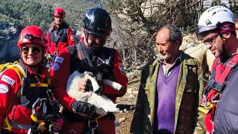 Mersin'de Uçurumdan Düşen Kuzu Kurtarıldı