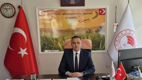 Afyonkarahisar'da Ayçiçeği Tohumu Desteği