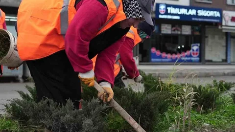 Düzce'de Yeşil Alan Çalışmaları Devam Ediyor