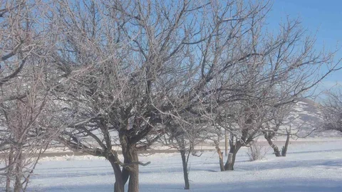 Van'da Sibirya Soğukları Etkili Oluyor