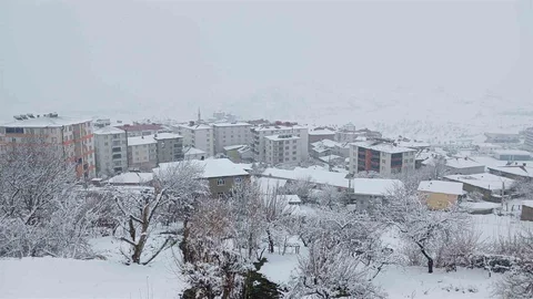Kulp'ta Yoğun Kar Yağışı Etkisini Gösteriyor
