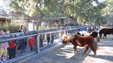 Antalya'da Doğal Yaşam Parkı Etkinlikleri