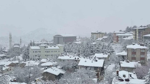 Arapgir Karla Kaplandı