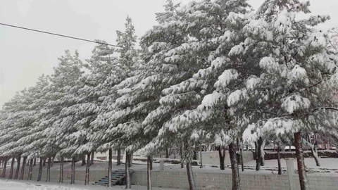 Sason'da Kar Yağışı Hayatı Olumsuz Etkiliyor