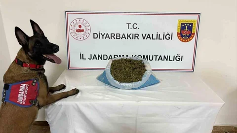 Diyarbakır'da Uyuşturucu Operasyonu