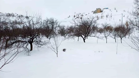 Akçadağ'da Yoğun Kar Yağışı