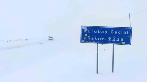 Van'da Kar Yağışı ve Sis Etkili Oluyor