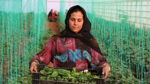 Tarım Girdi Fiyat Endeksi Yükseldi